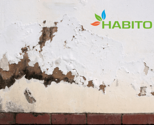 Umidità di risalita scopri la rivoluzionaria soluzione definitiva che salverà la tua casa (senza demolizioni!) Habito Srl (1)