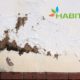 Umidità di risalita scopri la rivoluzionaria soluzione definitiva che salverà la tua casa (senza demolizioni!) Habito Srl (1)