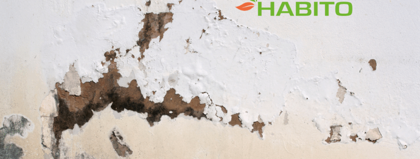 Umidità di risalita scopri la rivoluzionaria soluzione definitiva che salverà la tua casa (senza demolizioni!) Habito Srl (1)